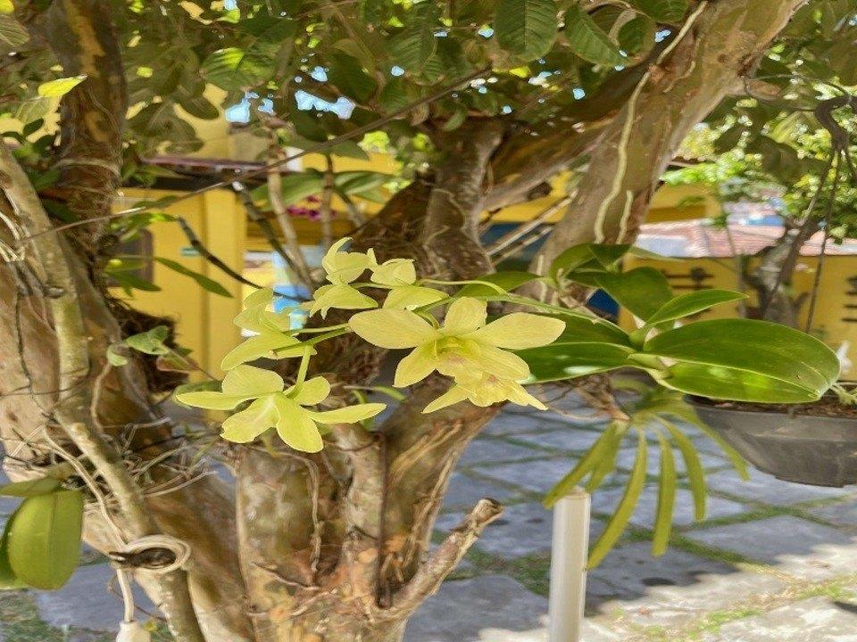 Pousada Toca Dos Coelhos Arraial do Cabo Buitenkant foto